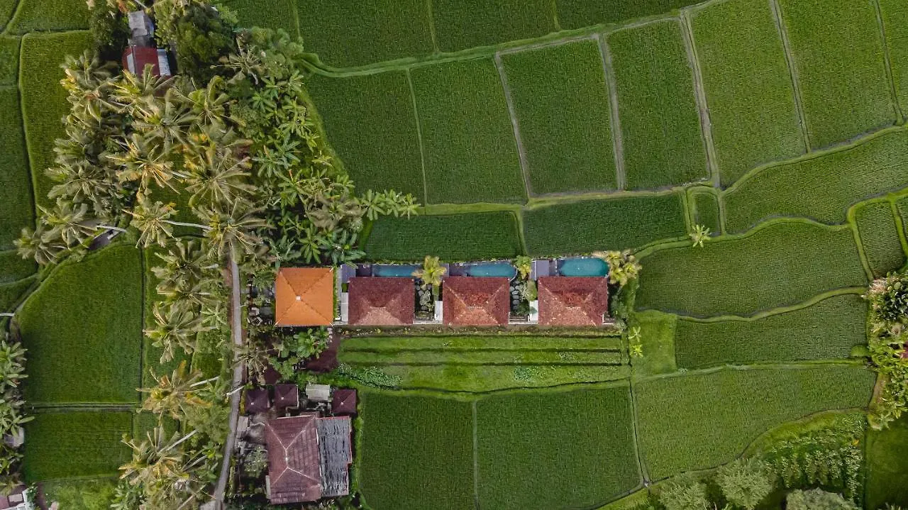 Airsania Ubud Antique Villas location