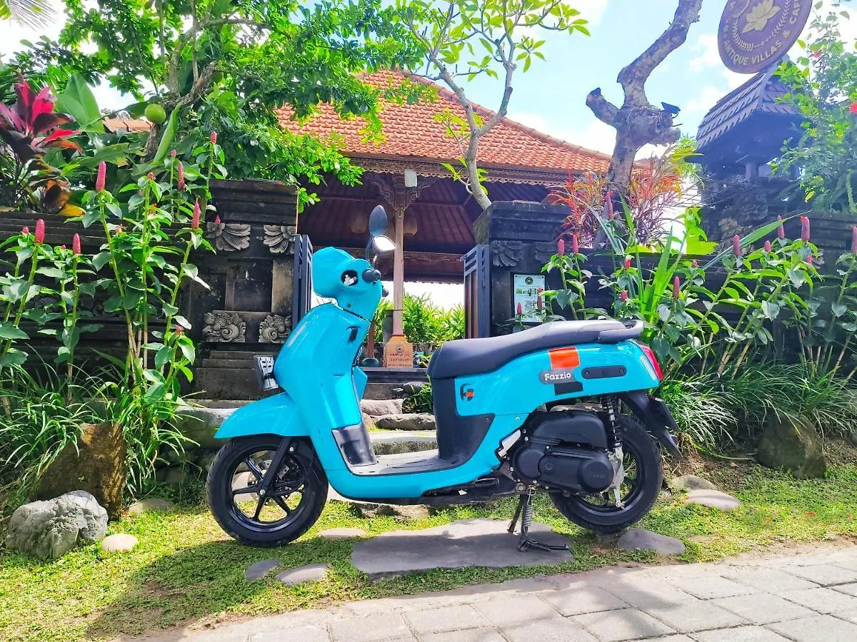 Airsania Ubud Antique Villas